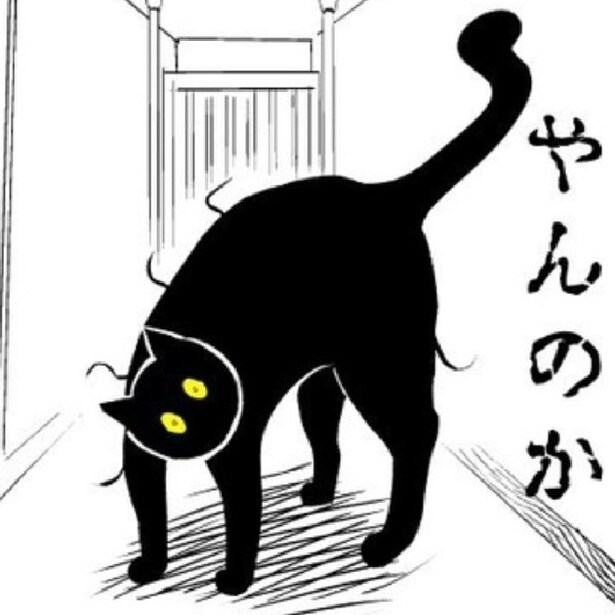 【ネコ漫画】「やんのか？」厳しい軍人みたいで甘えない愛猫！噛み癖が激しく塩対応の黒猫の「ゴロゴロしない日々」【作者に聞く】