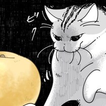 【ネコ漫画】大きな梨をやたら警戒する愛猫!?その姿に「やっぱり怖いんだね…」などの共感コメント＆8万超えの大反響！