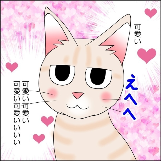 【ネコ漫画】「私たちの年齢的に迎えられる最後の猫かも」保護猫と暮らすごく普通の愛おしい毎日を描く作品に共感【著者に聞く】