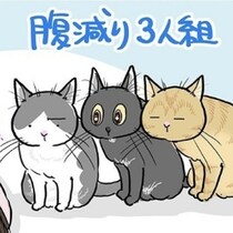 【ネコ漫画】「圧」がすごいゼロ距離猫と、「ムカつく」頭脳派が仕掛ける苦手な音の腹いせ！お腹を空かせた猫たちの飼い主の起こし方【作者に聞く】