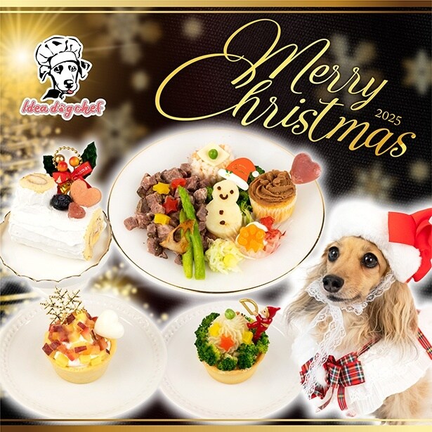 選べる肉のプレートやクリスマスケーキも！愛犬用のクリスマスメニューがIdea dog chefから登場