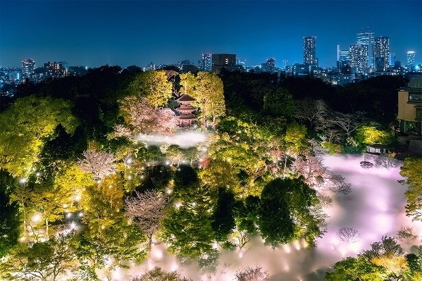 ホテル椿山荘東京の冬の庭園演出「森のオーロラと東京雲海」