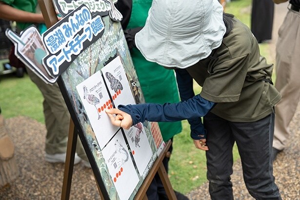 投票期間は約3週間。クロツラヘラサギ、オオゴマダラ、ミナミトビハゼ、シオマネキの4種から2種が選ばれる。投票ボードは沖縄県立芸術大学美術工芸学部の学生が手掛ける