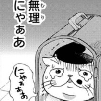 【ねこ漫画】涙腺崩壊！「かわいくない」と言われた猫とおじさま…孤独を知る者同士の心温まるストーリー【作者に聞く】