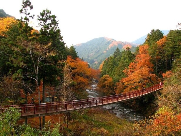 秋川にかかる吊橋からのパノラマは別格/秋川渓谷の紅葉