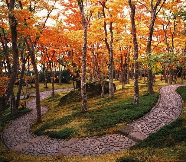 苔の緑と紅葉のコントラストが鮮やかな苔庭/箱根美術館の紅葉