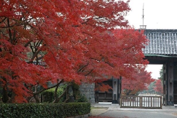 毛利博物館では毎秋に国宝展が開かれる/毛利氏庭園の紅葉