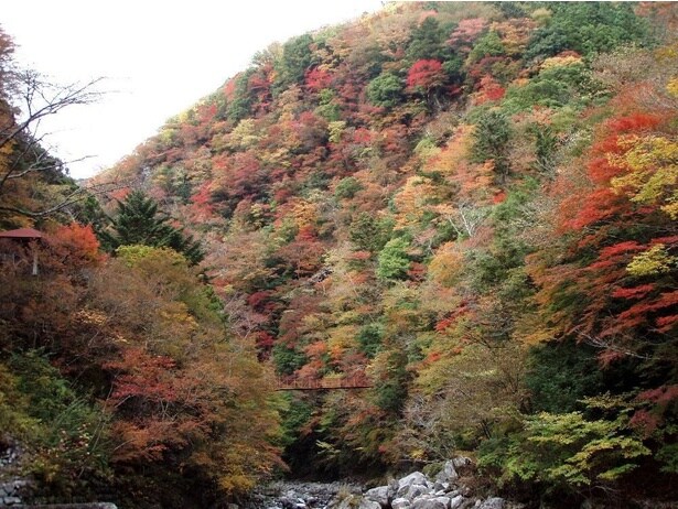 風情ある川のせせらぎと共に紅葉を楽しめる/べふ峡の紅葉
