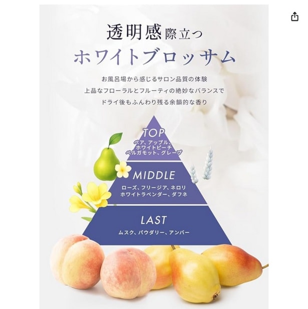 スクリーンショット 2025-11-13 015936