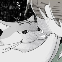 【ネコ漫画】飼い主の顔をガン見する愛猫!?実は「おやつが食べたい」猫の気持ちに8万いいねの大反響！