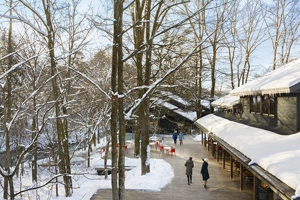 冬のハルニレテラスの街並み
