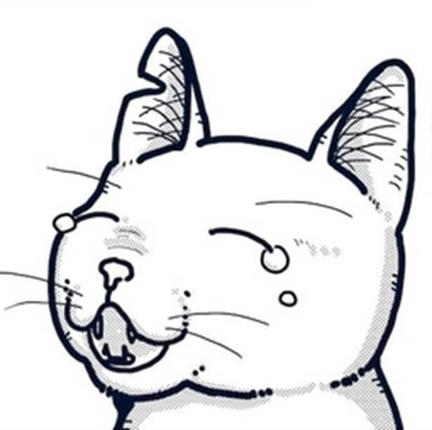 「猫の柄の話し」