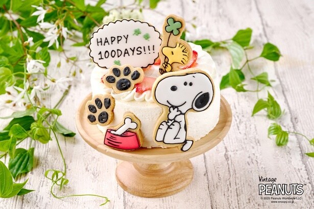 4号サイズのケーキに、アイシングクッキーをデコレーション!