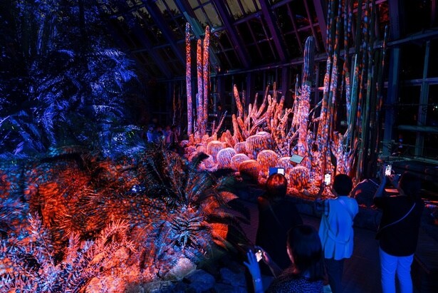 光の演出が幻想的な空間を作り出している