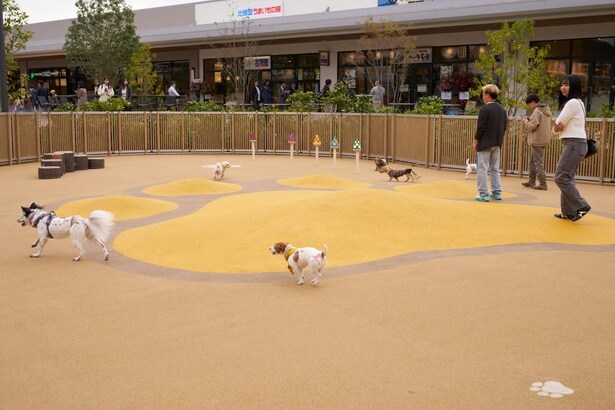 「OKAZAKI ドッグラン MARKET」