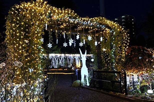 香りのローズガーデンメインゲート