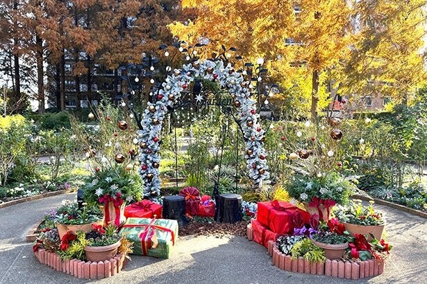 2024年の色彩のローズガーデンフォトスポット