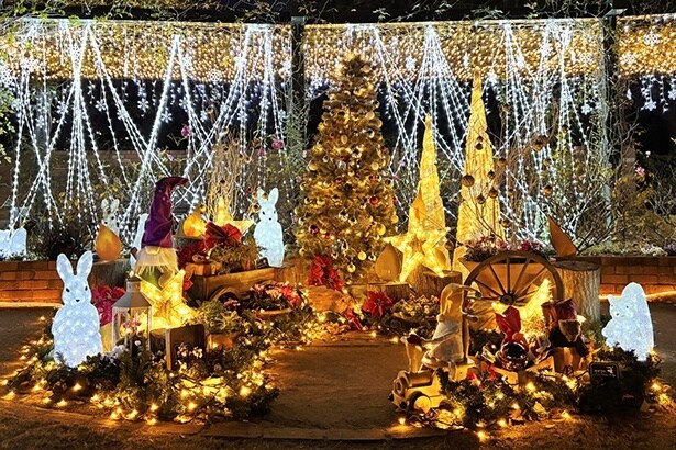 暖かい光が冬のローズガーデンを包み込む。四季の香ローズガーデンのイルミネーションが12月1日からスタート