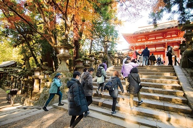 観光ガイドが春日大社までご案内