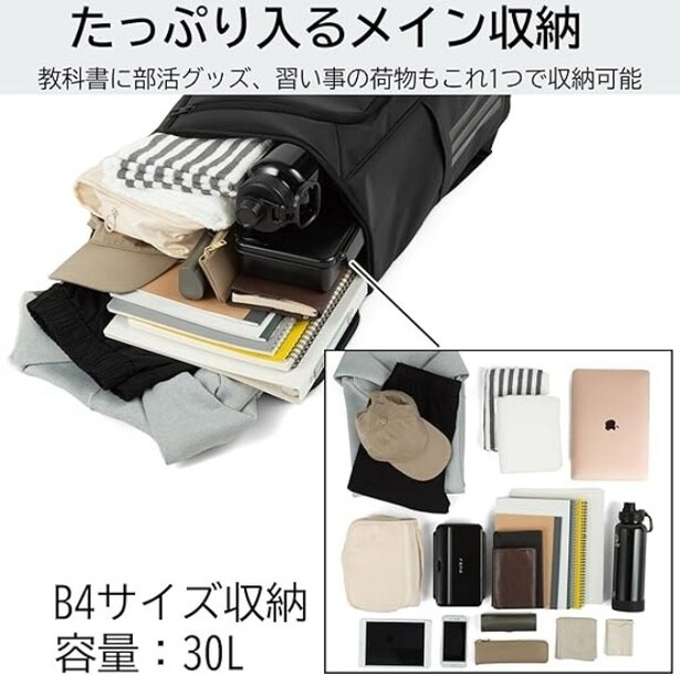 61TsyHbvxjL._AC_SY500_