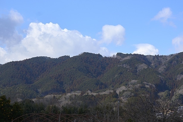 店の周辺には、車谷長吉の小説の舞台ともなった赤目四十八瀧など景勝地が点在