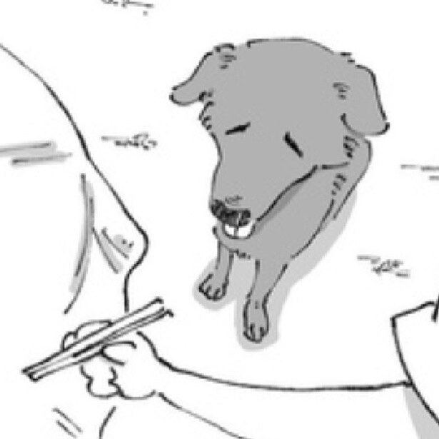 海外のローカル店で「串焼き泥棒」に遭遇！野良犬なのに“ぷくぷく”な理由にほっこり【作者に聞く】