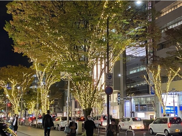 栄ミナミと大須の街並みが約30万球の電球で彩られる「栄ミナミ・大須ウインターイルミネーション」