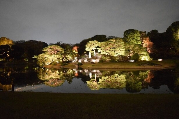 六義園夜間特別観賞(中の島)/六義園の紅葉