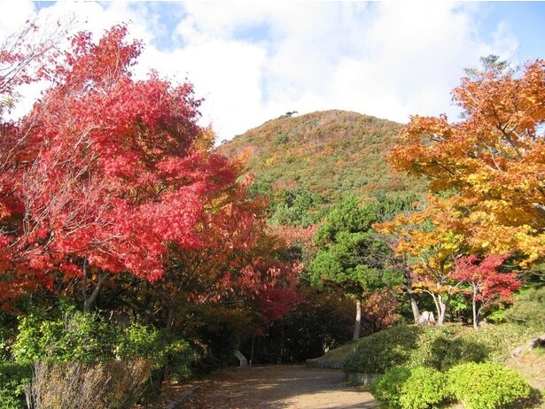 朝日山展望台からの景色/国上山の紅葉
