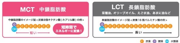 中鎖脂肪酸(MCT)は長鎖脂肪酸(LCT)に比べて構造が短く、短時間でエネルギーに変換されやすい