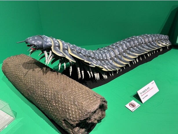 アースロプレウラ(復元模型)