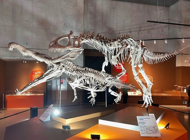 レドンダサウルス(奥・レプリカ)とクリオロフォサウルス(手前・レプリカ)