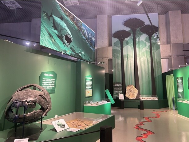 第2の大量絶滅後に陸上で反映した巨大な木(ワッティエザ)の化石が日本初公開!高木のイラストも一緒に展示されており、その大きさを体験できる