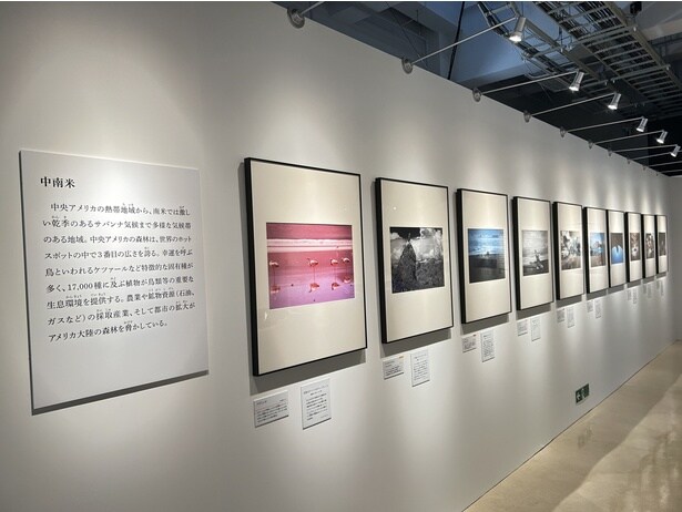 それぞれの写真の下には福山雅治さんが付けたキャプションも紹介されている