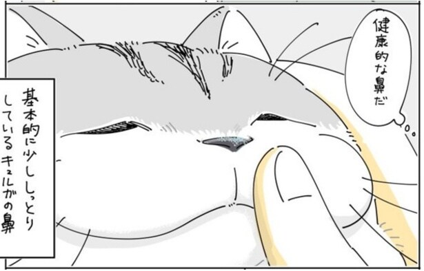 【ネコ漫画】愛猫の鼻で健康をチェックする飼い主!?その様子に「めちゃくちゃわかるw」など愛猫家から共感コメントが続出