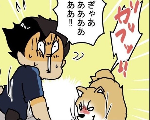 配達先で「懐かない犬」を夜道で保護！抱っこで送り届けた配達員との「一夜限りの友情」にほっこり【作者に聞く】