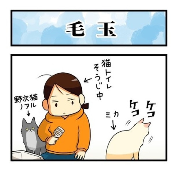 あ！吐く前触れの音が！猫飼いさんたちはこの音に敏感だ