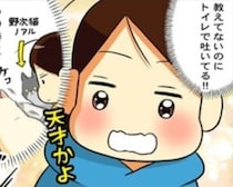 【ねこ漫画】「うちの子、天才かよ!!」猫が吐きそう！布団の上は勘弁して…と願ったら我が愛猫は天才だった【作者に聞く】