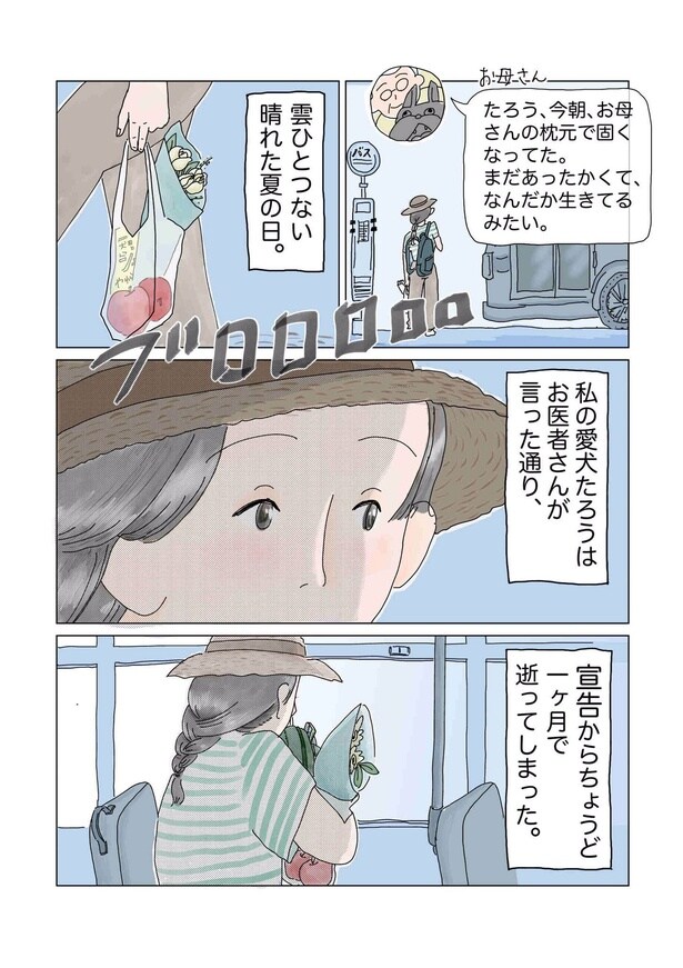 「今日の夕方にはお別れです。」02