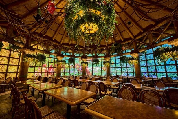 緋の森が広がる空間で焚き火料理を満喫