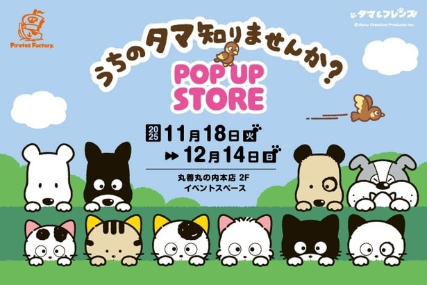 タマ＆フレンズのPOP UPが丸善丸の内本店で開催中！