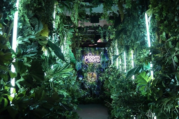 2階ではNAKED, INC.プロデュースのイマーシブ体験が楽しめる