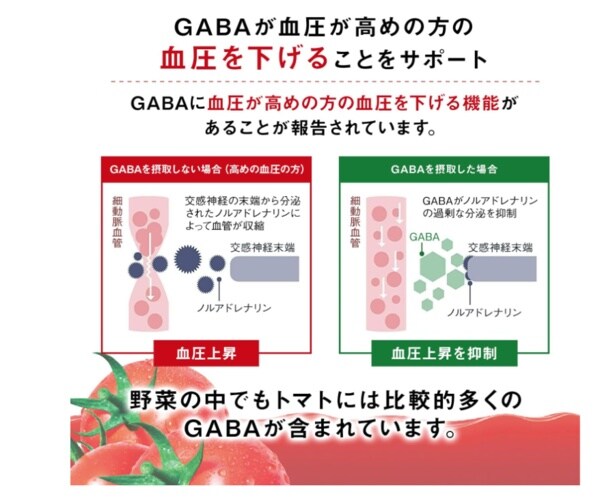 スクリーンショット 2025-11-24 215236