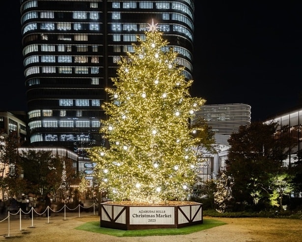 本物のもみの木でできたツリー。点灯時間は11時~22時