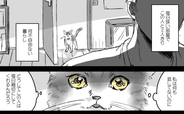 何もしていないのに、美味しいご飯にありつける幸せ