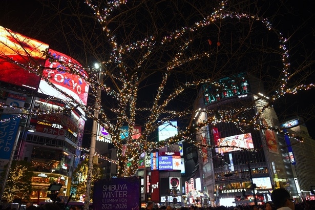 渋谷駅ハチ公広場周辺の木々に施されたイルミネーション