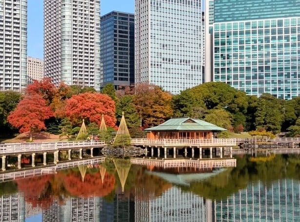 潮入の池周辺の紅葉/浜離宮恩賜庭園の紅葉