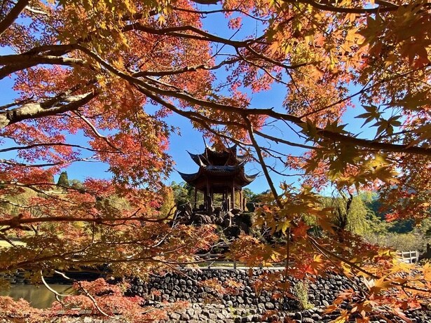 中国風庭園 冠嶽園と紅葉する山々との景色は絶景/冠岳の紅葉