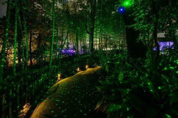創造の森ゾーン。静けさの中に光がそろう幻想的な雰囲気が広がり、歩を進めるたびに物語の中へ迷い込んだような感覚を味わえる