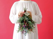 第一園芸が12月のフェアを開催！グリーン&ベリーで仕立てるホリデーコレクション